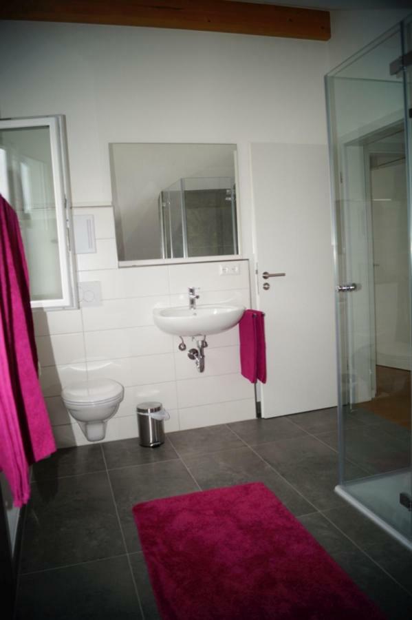 Apartment Strawberry Bermatingen Exterior foto